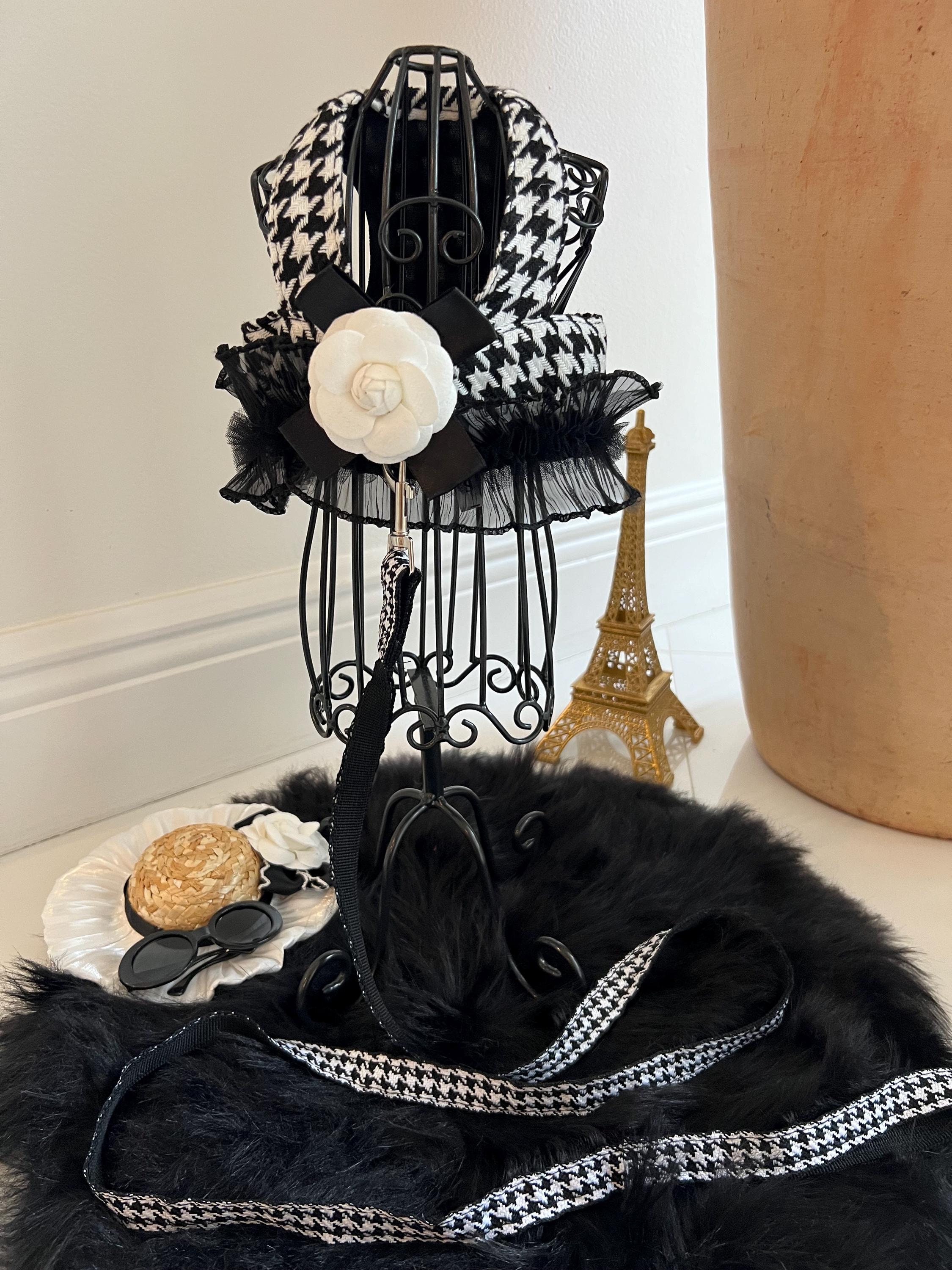 Trendy Dog Walking Gear - Sleek Harness, Hat and Glasses Set - Pet Glam, dog cape, small dog outfit, dog costume party, small dog harness