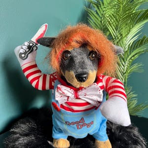 Spooky Chucky Doll Dog Costume, dog clothes, pet clothing,  pet costume party, dog Halloween outfit , Chucky Dog costume, cat costume