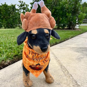 May include: A black and brown dog wearing a brown plush turkey hat and a yellow and orange bandana with the text "Happy Thanksgiving Day".