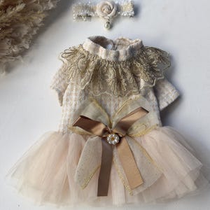 Tulle & Lace Dog Dress: Satin Bow, Matching Choker