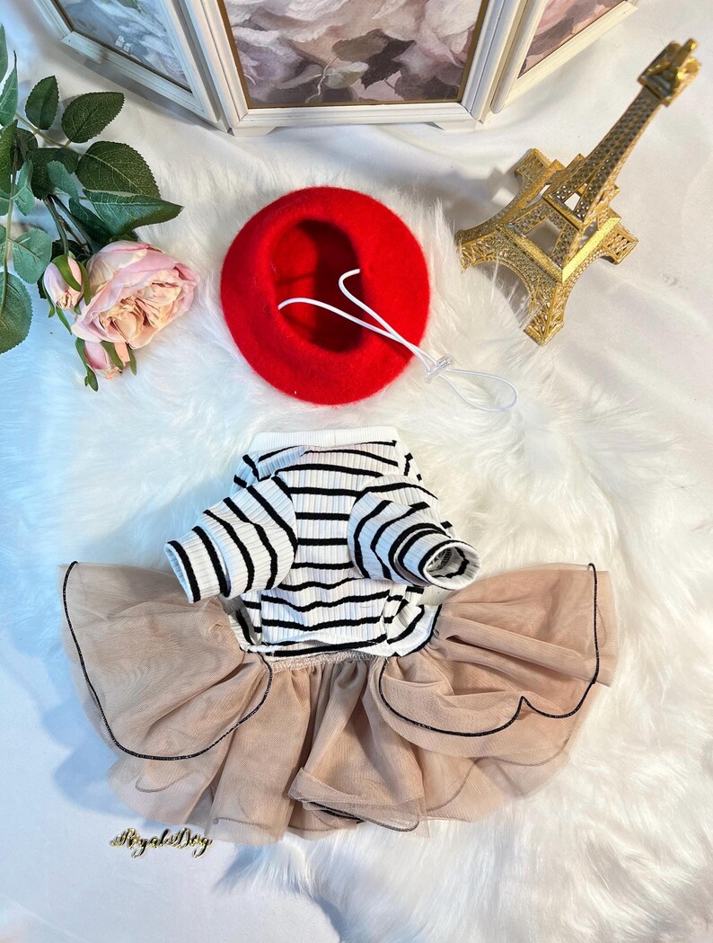 Pu&ograve; includere: Una camicia a righe bianche e nere con una gonna di tulle beige e un berretto rosso. L'abito &egrave; progettato per un cane di piccola taglia.