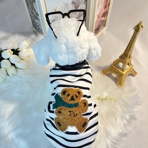 May include: A white and black striped dog shirt with a brown teddy bear applique. The teddy bear is wearing a green scarf.