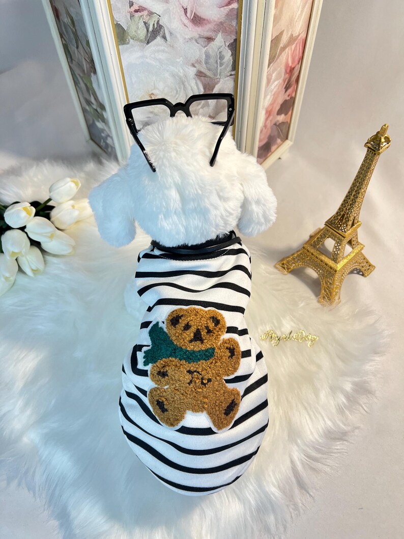 May include: A white and black striped dog shirt with a brown teddy bear applique. The teddy bear is wearing a green scarf.
