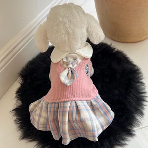 Small Dog Dress in Pink - Schoolgirl Look with Cute Glasses for Pets, small dog clothes, dog fashion, Cute dog costume, cat dress, fashion