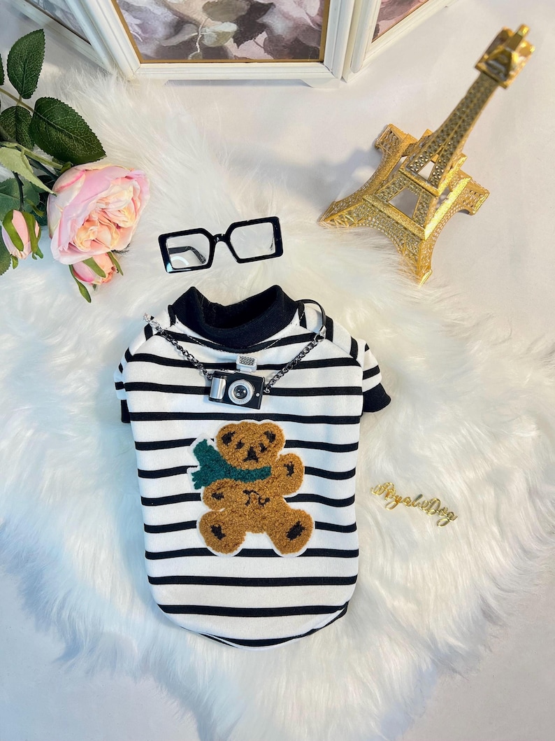 May include: A black and white striped dog shirt with a brown teddy bear applique and a small camera charm on a silver chain.