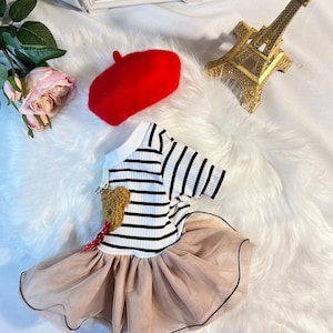 Pu&ograve; includere: Un vestito a righe bianche e nere con una toppa a forma di cuore marrone e una gonna di tulle. L'abito &egrave; abbinato a un berretto rosso. L'abito &egrave; su una superficie bianca e soffice con una decorazione della Torre Eiffel dorata.