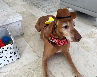 Western Dog Outfit - Cute Cowboy Costume,  dog costume, cowboy dog costume, pat costume, dog outfit, western pad attire, Dog costume set