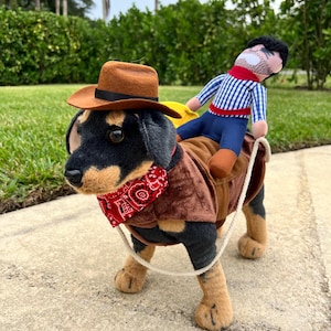 Dog Western Rider Halloween Dress-up Set, cowboy dog costume, pat costume, dog outfit, western pad attire, Dog set outfit, Halloween pat