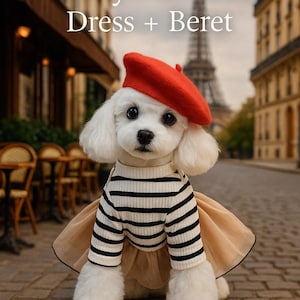 Luxury Dog Dress with Red Beret – Parisian Style Bear Print Outfit for Small Dogs | Yorkie, Poodle, Chihuahua Pet Clothes immagine 1