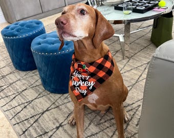 Unique Handmade Thanksgiving Bandana with Special Add-On, thanksgiving pet outfit, bandanna for Dog, bandanna for cat, thanksgiving bandanna