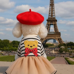 Luxury Dog Dress with Red Beret – Parisian Style Bear Print Outfit for Small Dogs | Yorkie, Poodle, Chihuahua Pet Clothes immagine 2