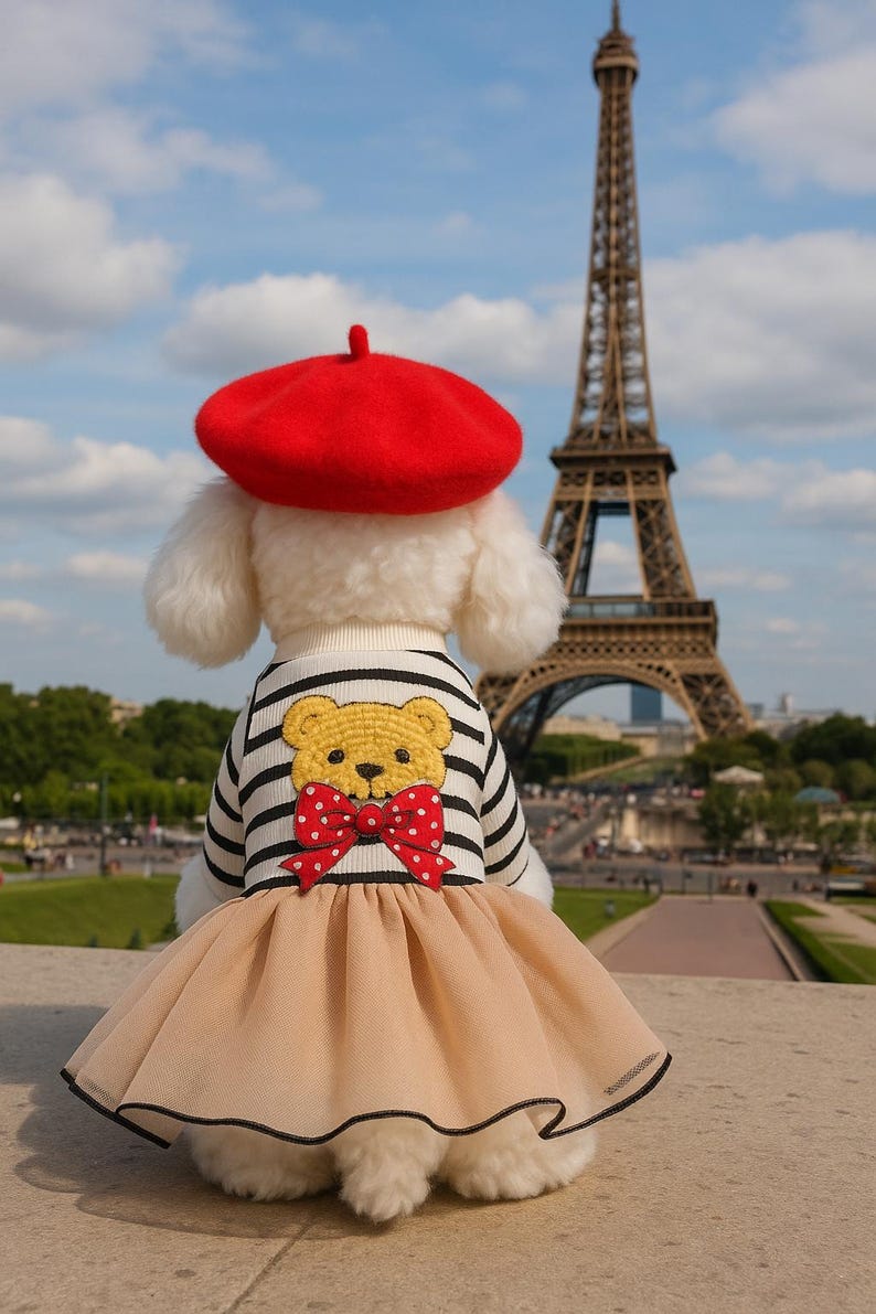 Luxury Dog Dress with Red Beret – Parisian Style Bear Print Outfit for Small Dogs | Yorkie, Poodle, Chihuahua Pet Clothes immagine 2