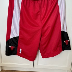 Vintage Shorts Champion Chicago Bulls NBA selten 90er Jahre