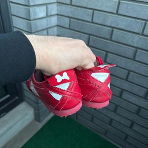 Puede incluir: Un par de zapatillas rojas con detalles blancos y un lazo en el tal&oacute;n. Las zapatillas tienen un perfil bajo y una suela de goma. Las zapatillas son sostenidas por una persona.