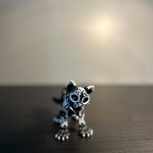 関節のある骨格の猫
