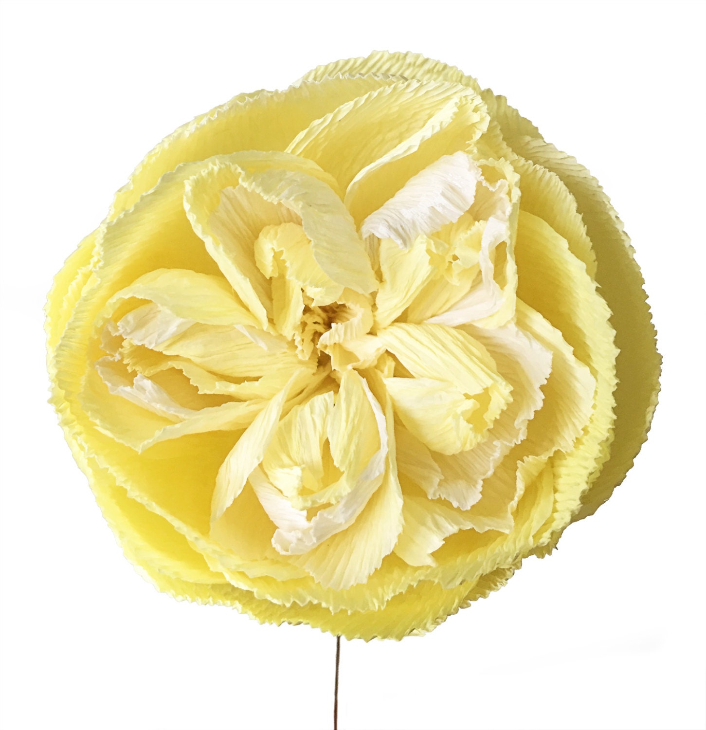 Juliet Rose Handmade Crepe Paper Flower Etsy UK