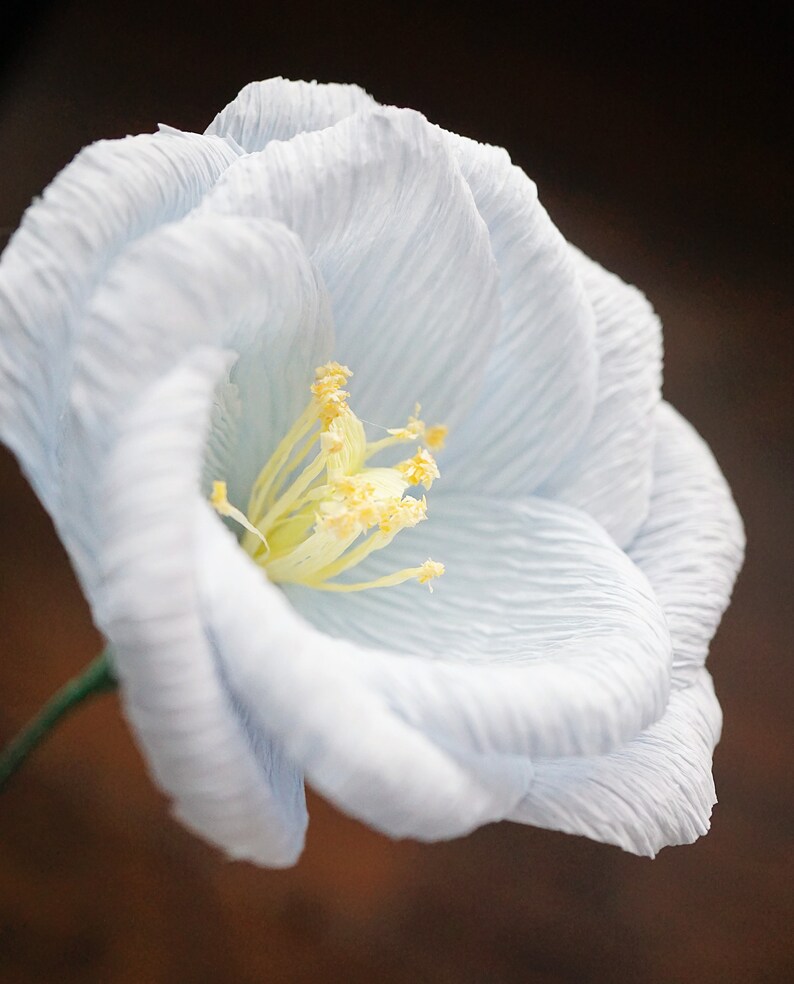 Lisianthus: Handmade Crepe Paper Flower image 4