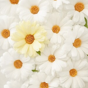 Daisy or Black-Eyed Susan: Handmade Crepe Paper Flower image 8