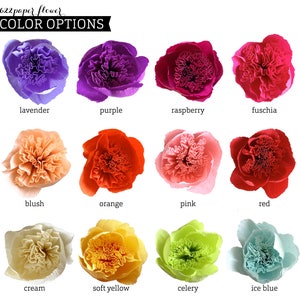 Billy Balls (Craspedia): Handmade Crepe Paper Flowers image 5