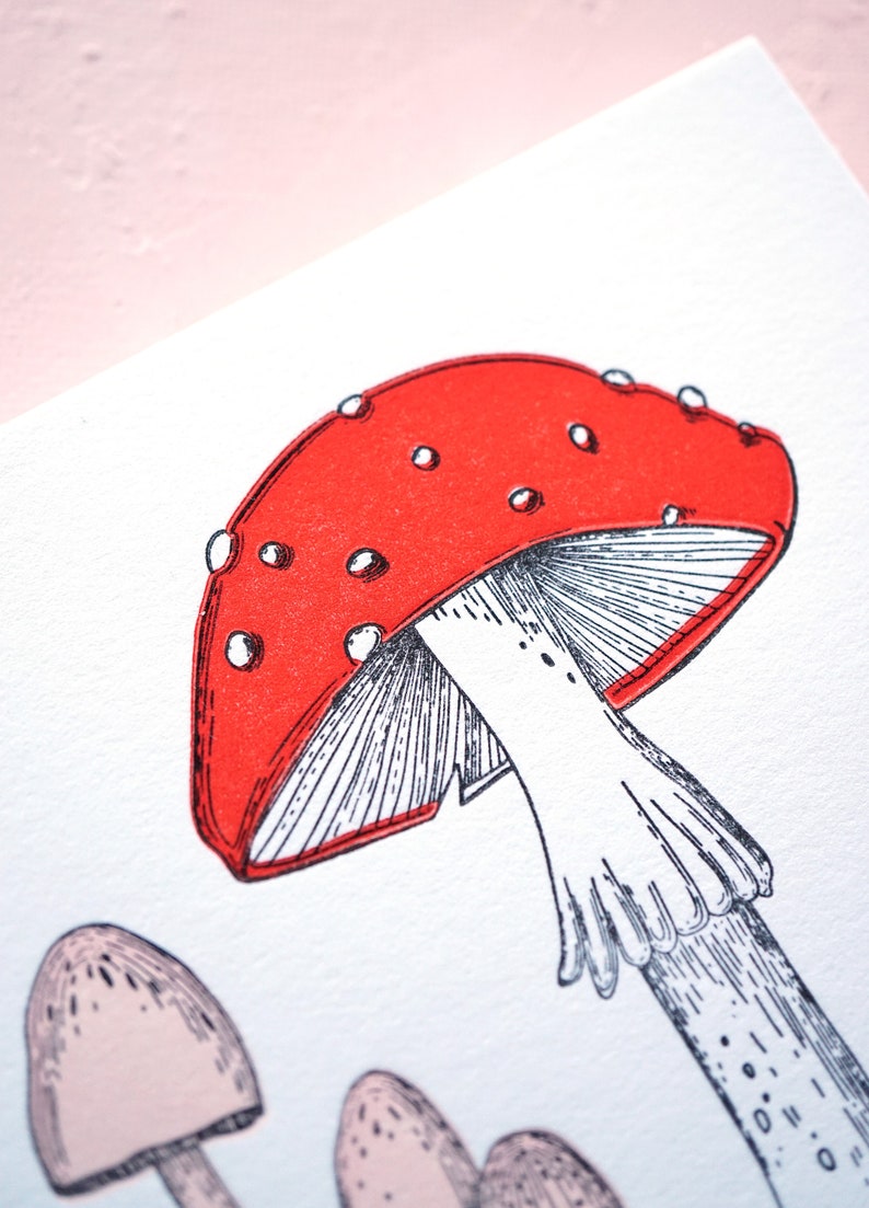 Thank you so mush Mushroom Illustration Letterpress Thank You Card image 4