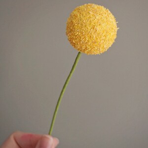 Billy Balls (Craspedia): Handmade Crepe Paper Flowers image 2