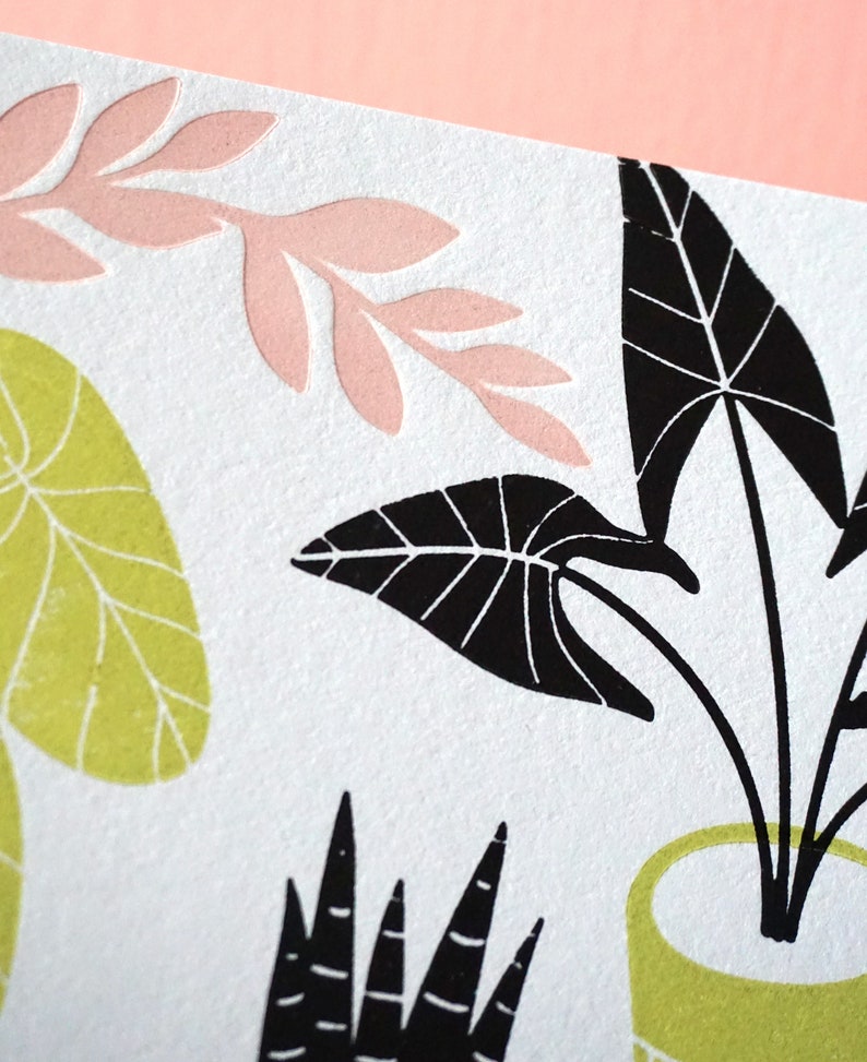 House Plant Silhouettes Letterpress Cardany occasion, thinking of you, birthday, thank you card image 3