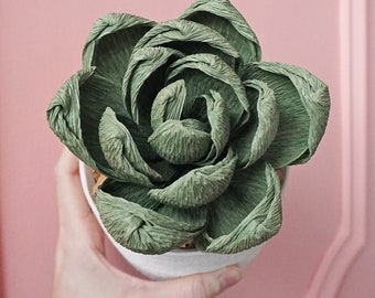 Handmade Crepe Paper Echeveria