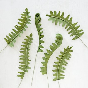 May include: Six green paper fern leaves with curled edges, arranged on a white background.