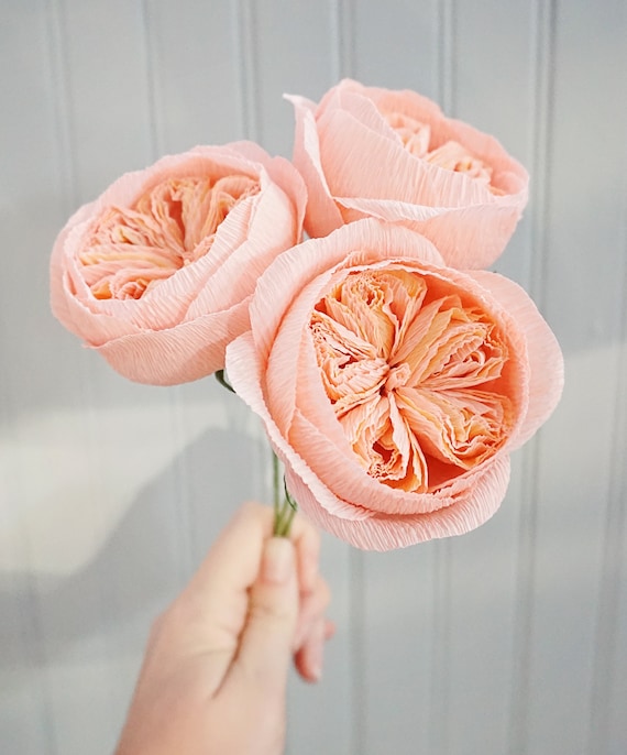 Juliet Rose: Handmade Crepe Paper Flower 