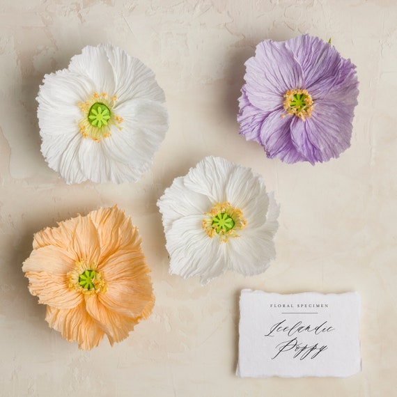 Hermoso Narciso Flores Amapolas /& ADORNO TOPPERS PARA TARJETAS//MANUALIDADES