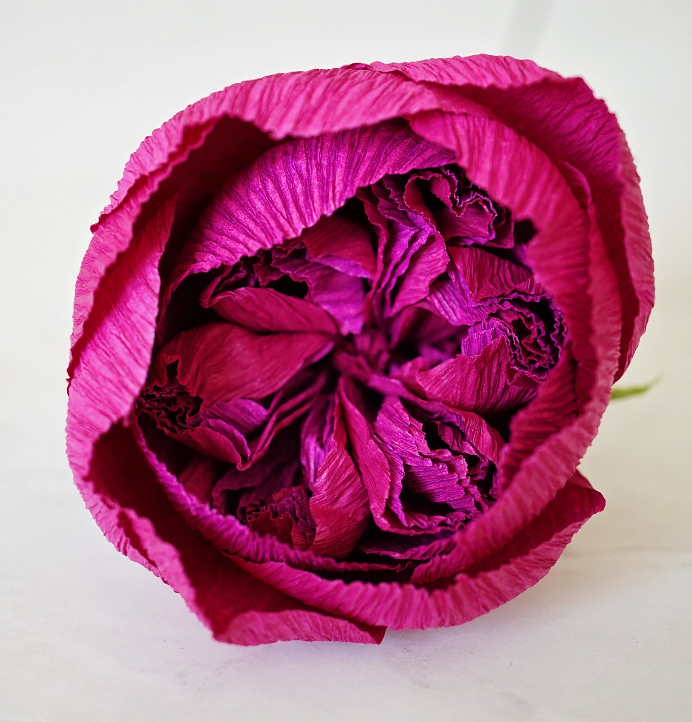 Juliet Rose Handmade Crepe Paper Flower Etsy UK
