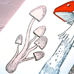 Thank you so mush Mushroom Illustration Letterpress Thank You Card image 3