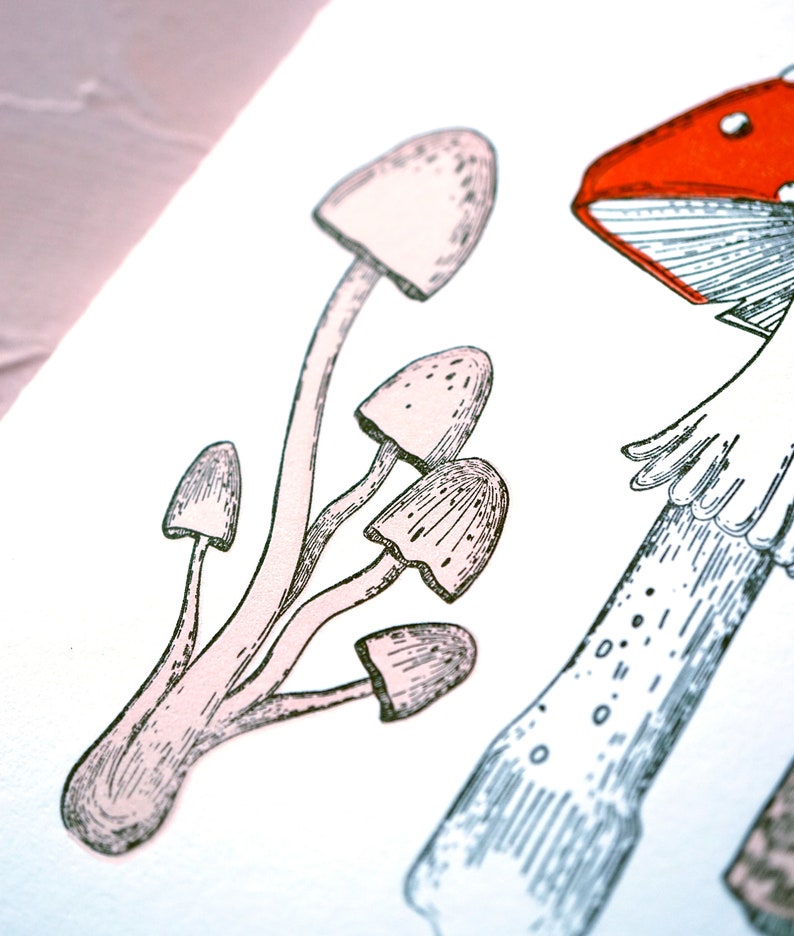 Thank you so mush Mushroom Illustration Letterpress Thank You Card image 3