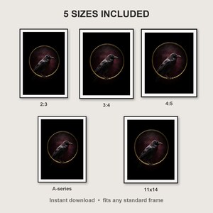 Raven Wall Art print size chart - 5 ratios included: 2:3, 3:4, 4:5, 11x14, ISO A