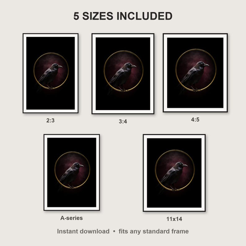 Raven Wall Art print size chart - 5 ratios included: 2:3, 3:4, 4:5, 11x14, ISO A
