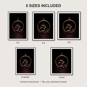 Serpent Wall Art III print size chart - 5 ratios included: 2:3, 3:4, 4:5, 11x14, ISO A