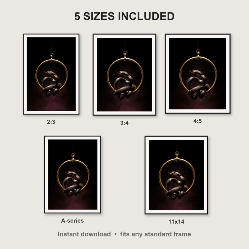 Serpent Wall Art III print size chart - 5 ratios included: 2:3, 3:4, 4:5, 11x14, ISO A