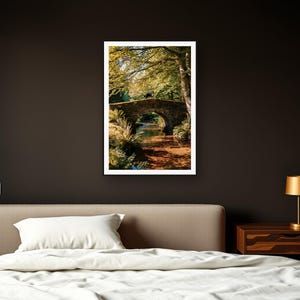 Bernese Mountain Dog Wall Art art print framed in a dark luxury bedroom