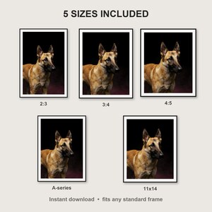 Belgian Malinois Wall Art II print size chart - 5 ratios included: 2:3, 3:4, 4:5, 11x14, ISO A