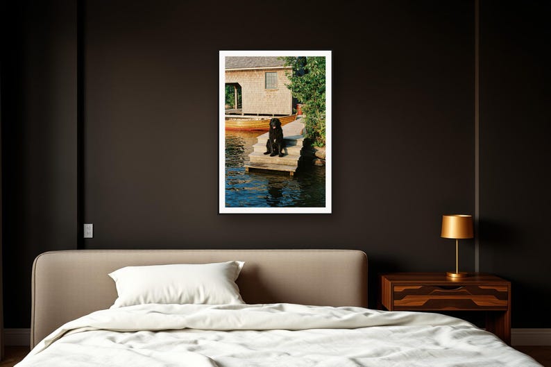 Newfoundland Dog Wall Art art print framed in a dark luxury bedroom