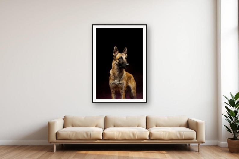 Lámina de pastor belga malinois / Arte canino con borde de latón / Decoración de lujo oscura (Descarga digital) imagen 1