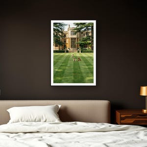 English Setter Wall Art art print framed in a dark luxury bedroom