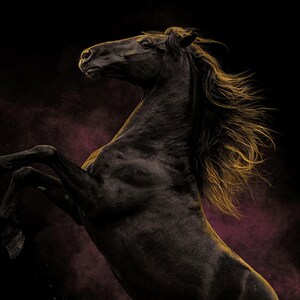 Black Stallion Rearing Print | Brass Light Horse Animal Decor (Digital Download) image 4