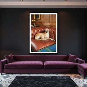 Whippet Wall Art art print framed in a luxury living room