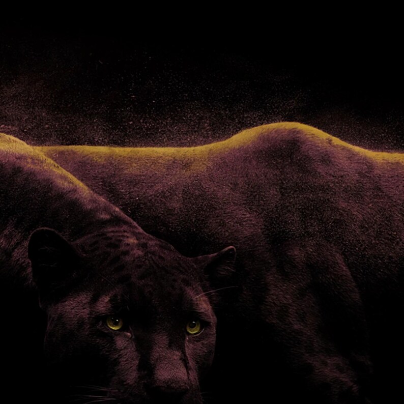 Black Panther Wall Art | Brass Light Print, Dark Luxury Animal Decor (Digital Download) image 4