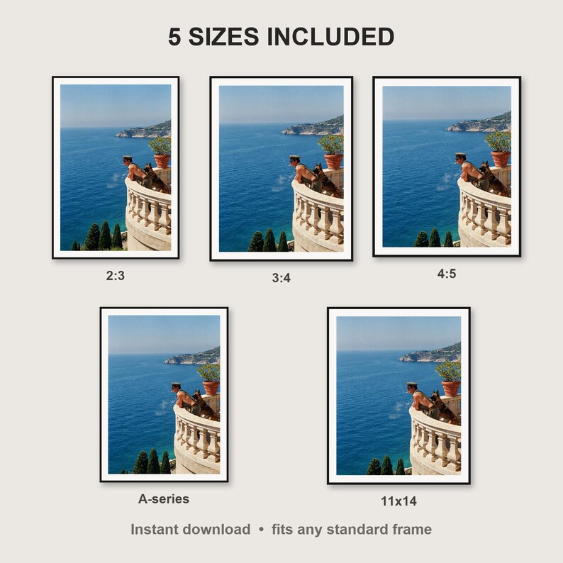 Military K9 Wall Art print size chart - 5 ratios included: 2:3, 3:4, 4:5, 11x14, ISO A