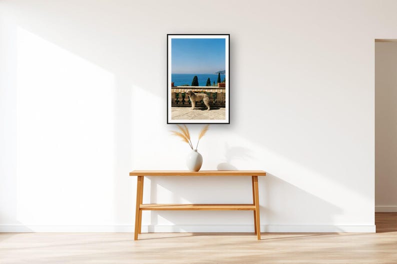 Afghan Hound Wall Art art print displayed above an entry console table