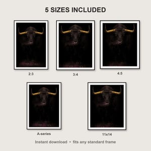 Bull Wall Art II print size chart - 5 ratios included: 2:3, 3:4, 4:5, 11x14, ISO A