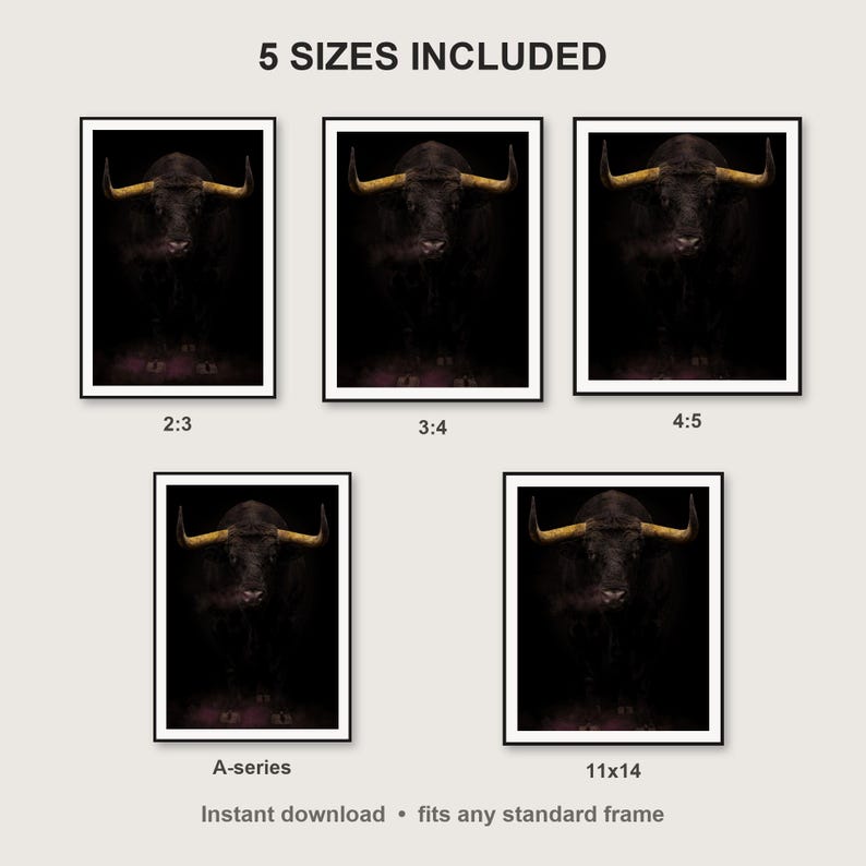 Bull Wall Art II print size chart - 5 ratios included: 2:3, 3:4, 4:5, 11x14, ISO A
