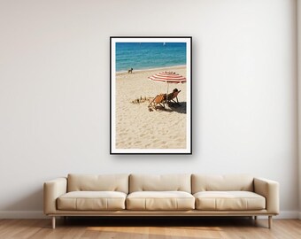 Fotografía de un pastor belga malinois en la playa / Foto vintage de un perro junto al mar (descarga digital)